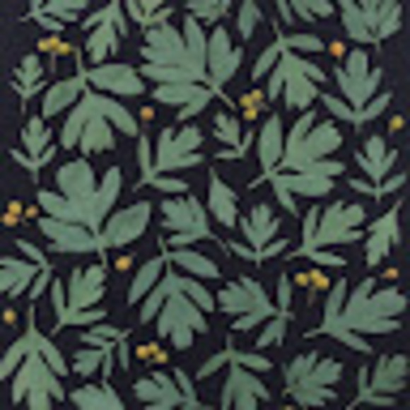 Meet your Posher, Ava - Picture 1 of 1